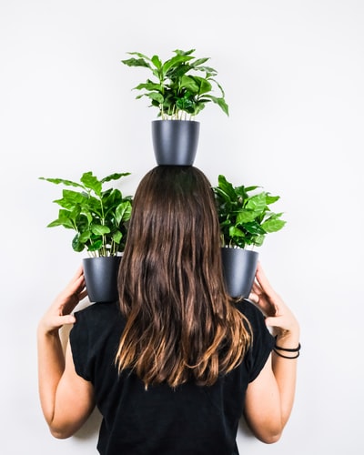 黑色无袖连衣裙的女人举着绿色的植物
